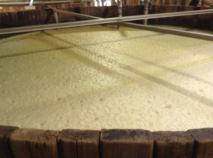 Mash fermenting to become Four Roses Bourbon